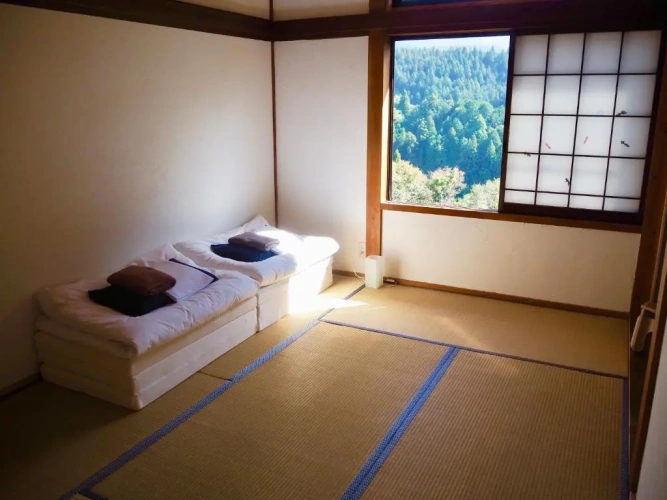 Standard Double room with mountain view