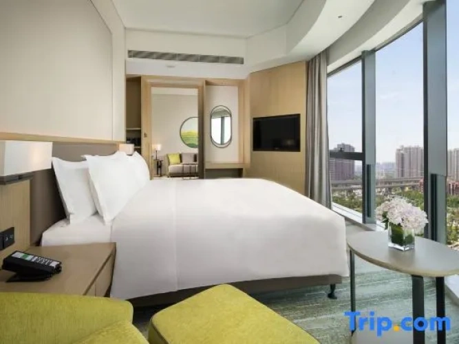 Single Suite