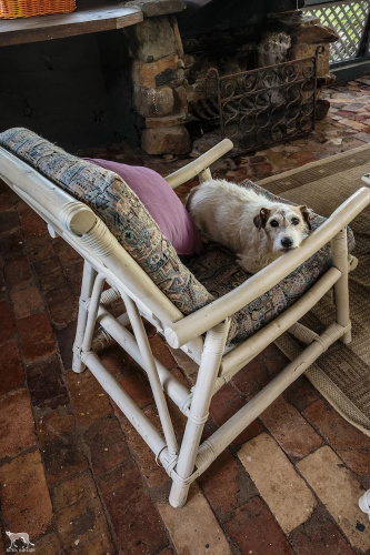 Bulwarra Bed & Breakfast
