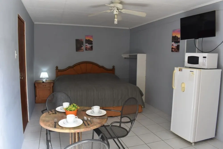 1 Bedroom Classic Studio