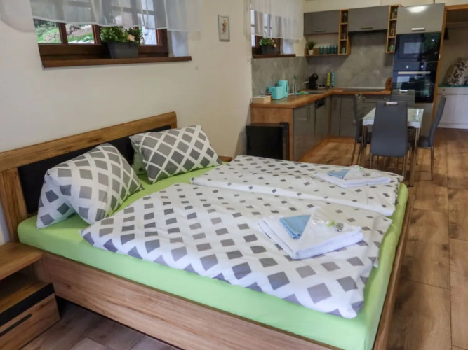 Apartment  Harrachov
