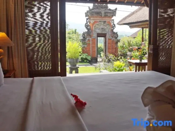 Superior Double room with view