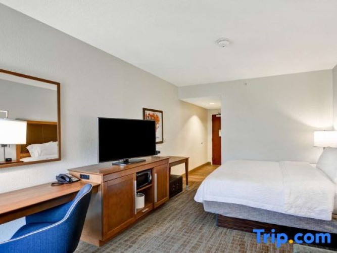 1 Bedroom Suite
