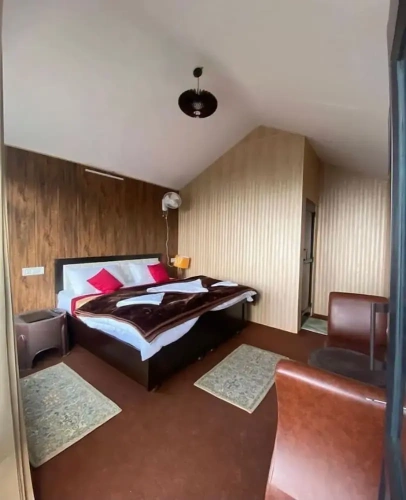 Deluxe Double room with mountain view