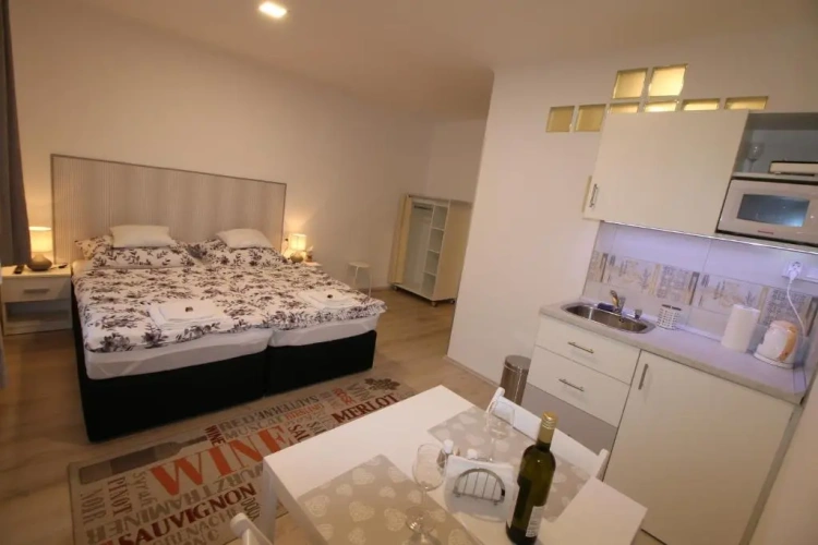 Standard Apartment