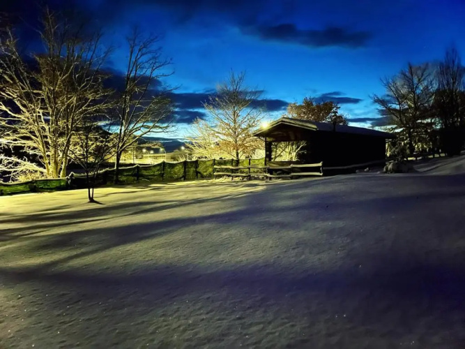 Chalet Vacanze Il Daino