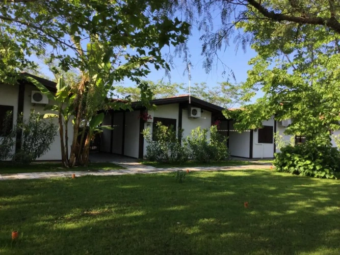 Bungalow with garden view
