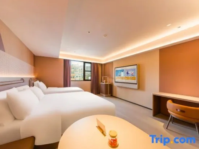 Standard Double Family Attic room with city view