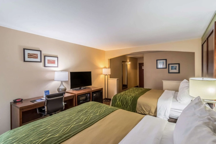 Quadruple Suite