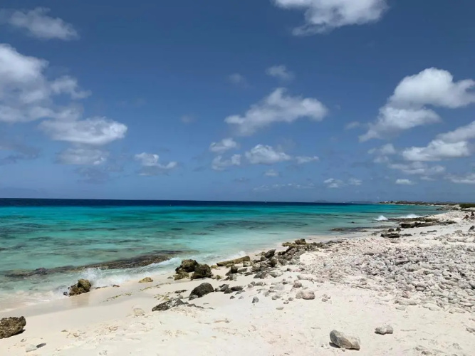 Salt Apartments Bonaire