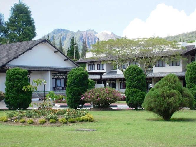 Standard Cottage with view