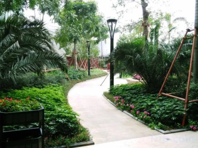 Outside