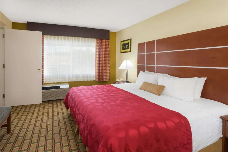 1 Bedroom Double Suite