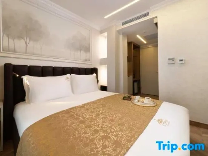 Standard Double room with city view