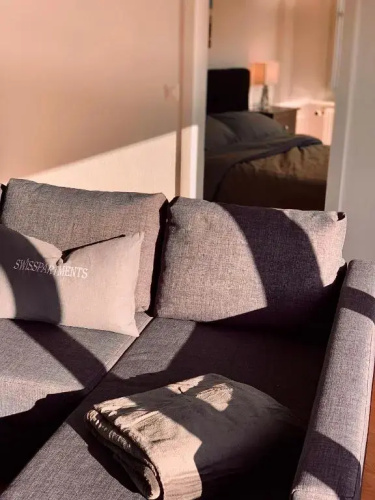 Apartment Romanshorn von Swisspartments
