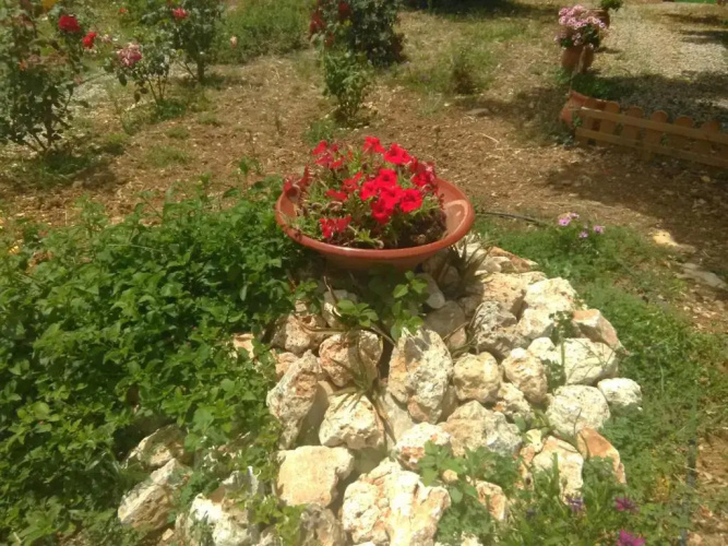 Diogenis Residence Euphoria