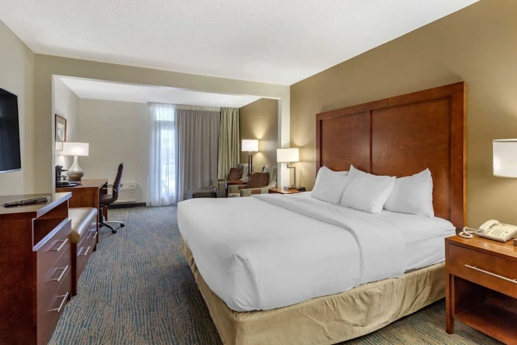 Double Basement Suite