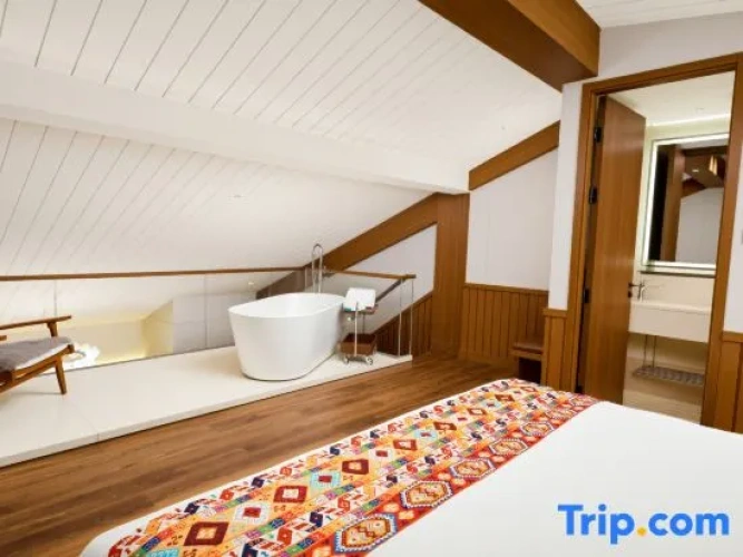 Standard Double Duplex room with mountain view