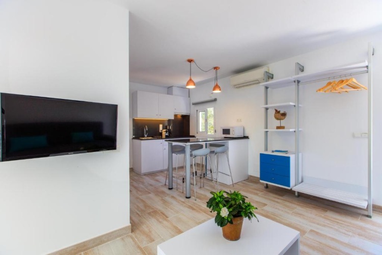 1 Bedroom Apartment with balcony and with view