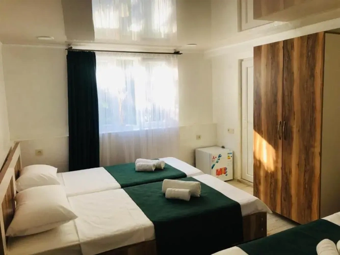 Deluxe Double room with garden view