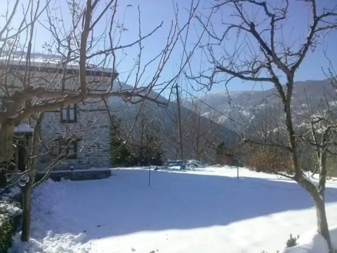 Cottage