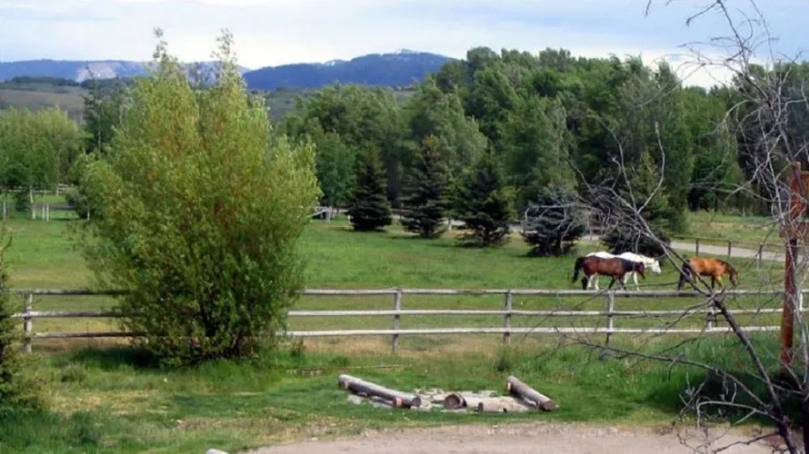 The Sassy Moose Inn