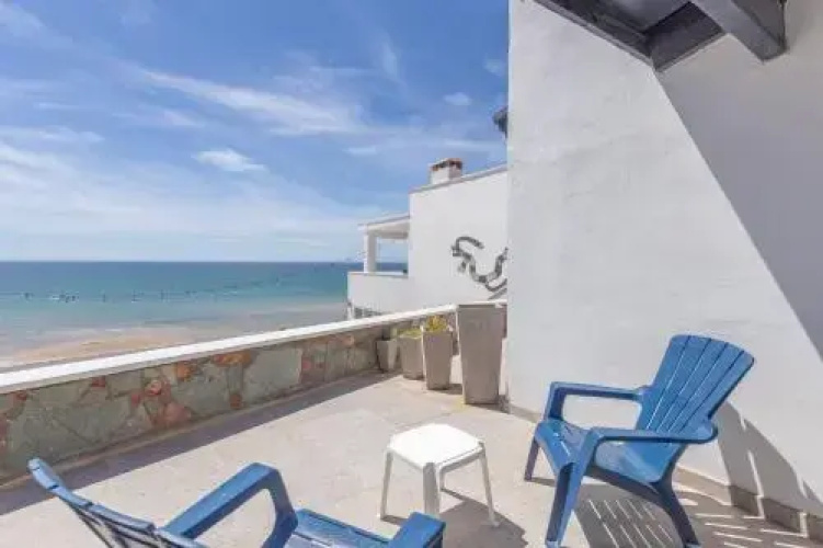 Jardin Del Mar