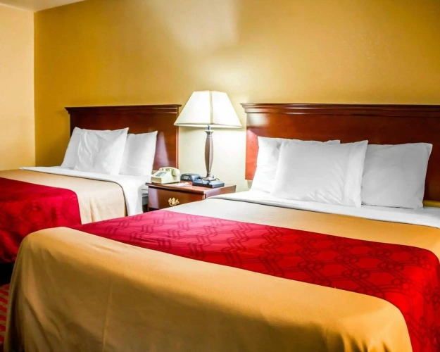 Quadruple Suite