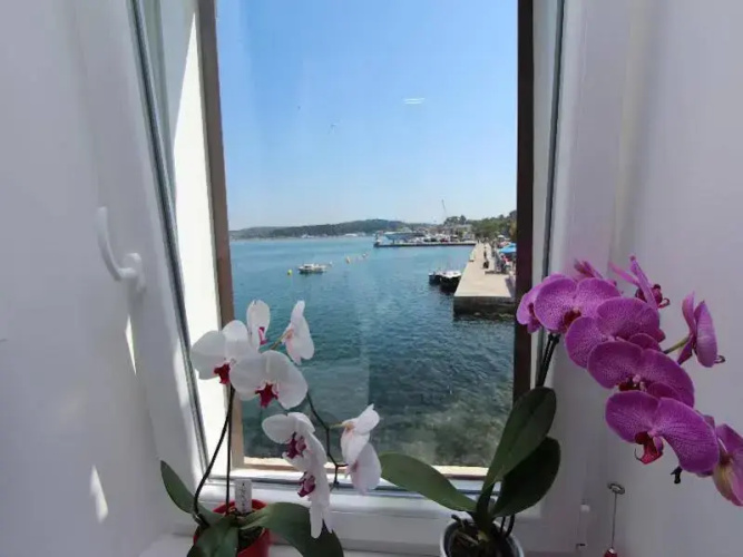 Apartment Edi
