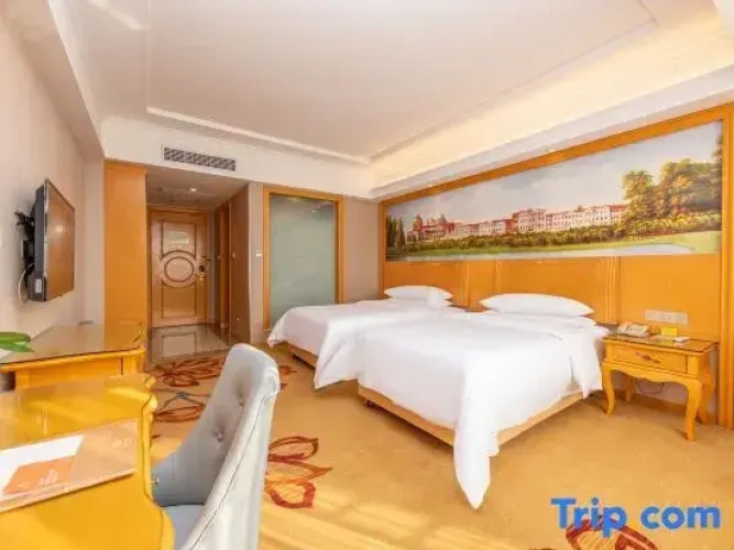 Standard Double room with city view