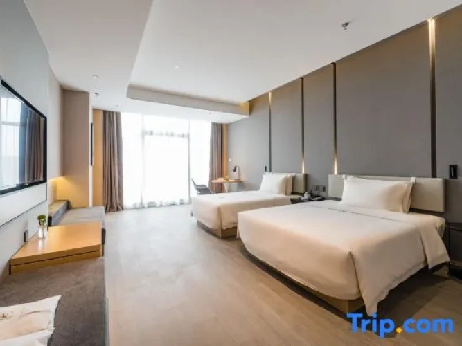 Executive Twin Family room