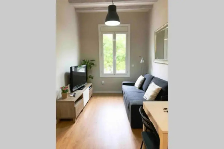 2 Bedroom Apartment Sants