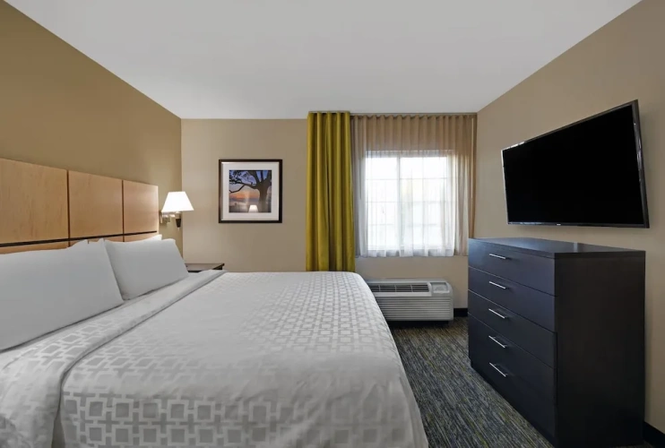 1 Bedroom Suite