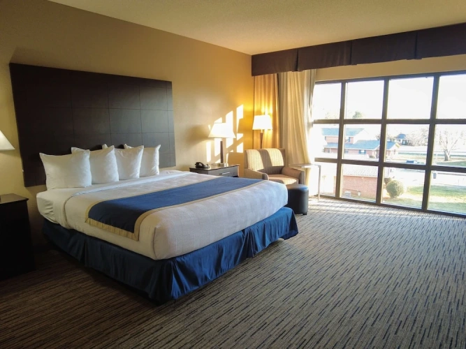 1 Bedroom Standard Double room