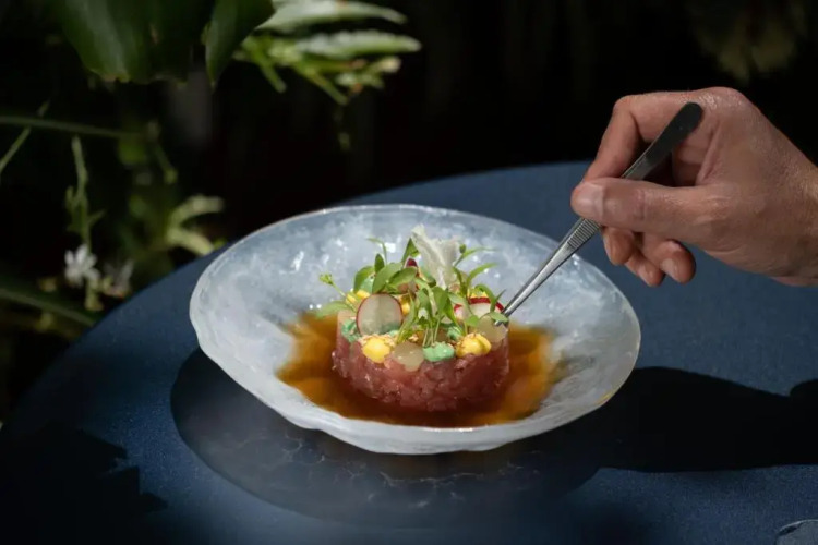 Hotel Hotel Over view