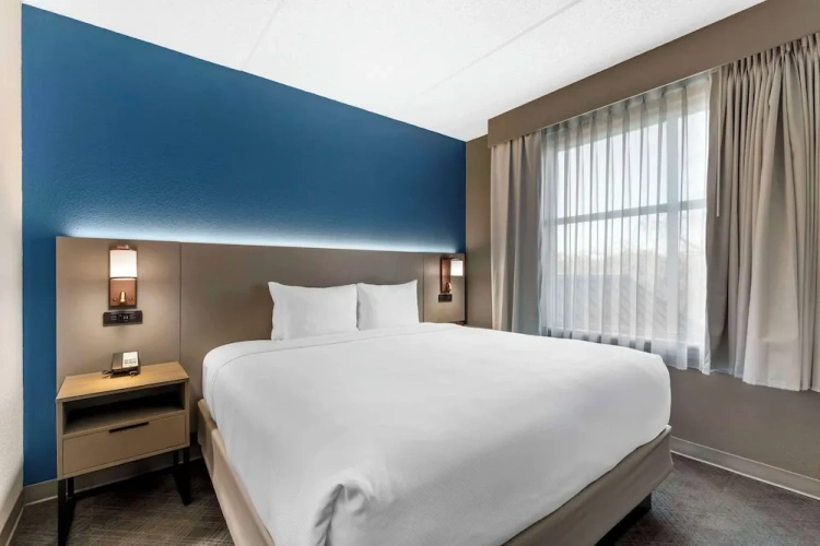 1 Bedroom Suite