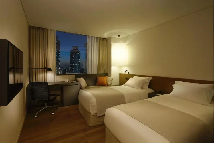 Deluxe Twin room with city view