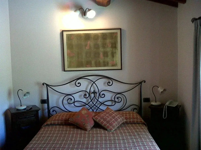 Daily Bed