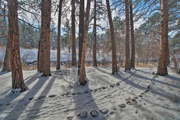 Spacious Estes Park Home on Big Thompson River!
