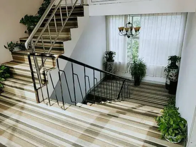 Qingchen Boutique Hotel