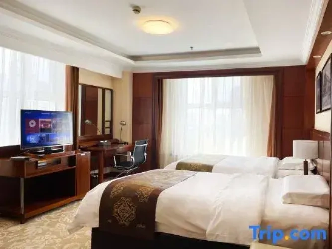 Business Double room with city view