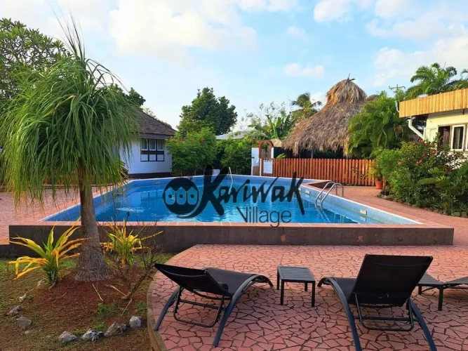 Standard Double room with pool view