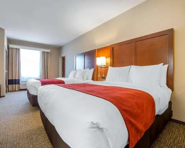 Standard Double room