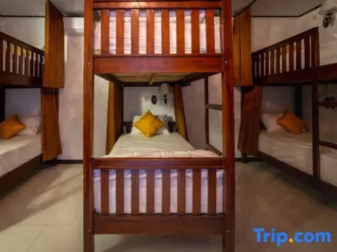 Bed in Dorm