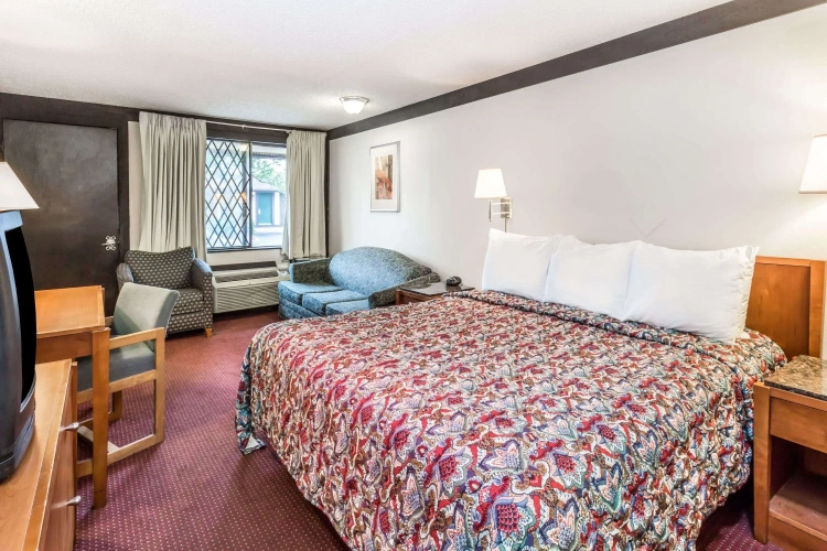 Single Suite