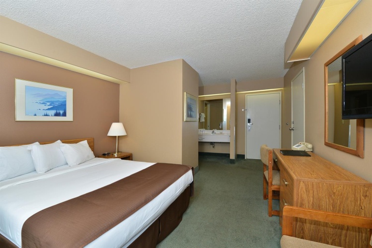 Luxury Double Suite