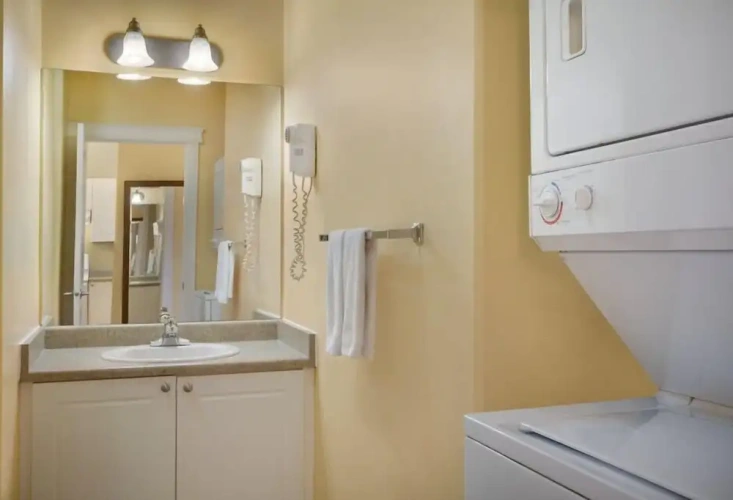 1 Bedroom Suite