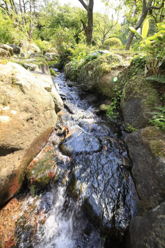 Izuajiro-onsen Shoufuen