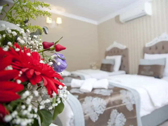 1 Bedroom Standard Quadruple Family room with city view
