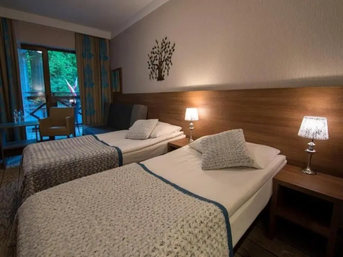 Standard Twin room with balcony
